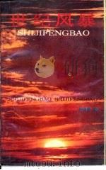 世纪风暴（1994 PDF版）
