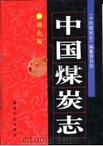 中国煤炭志  湖北卷（1999 PDF版）