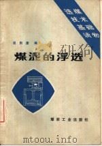 煤泥的浮选（1983 PDF版）