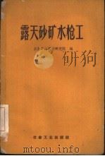 露天砂矿水枪工（1960 PDF版）