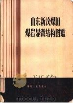 山东新汶煤田煤岩显微结构图鉴（1959 PDF版）