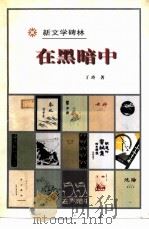 在黑暗中（1998 PDF版）