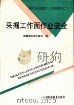 采掘工作面作业安全（1993 PDF版）
