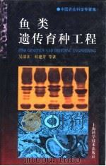 鱼类遗传育种工程（1999 PDF版）