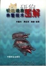 快速健康养鳖技术图解（1999 PDF版）