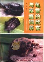 龟鳖的欣赏与家庭饲养 1996 PDF电子版封面 7534522064 周婷编著