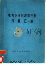 电力企业经济责任制资料汇编（ PDF版）