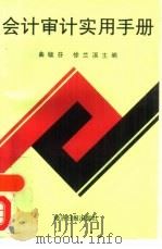 会计审计应用手册（1995 PDF版）