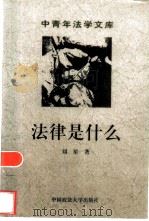 法律是什么? 二十世纪英美法理学批判阅读 1998 PDF电子版封面 7562016739 刘星著