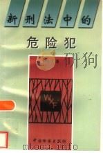 新刑法中的危险犯（1998 PDF版）