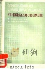 中国经济法原理 1989 PDF电子版封面 7805152667 张宏森,王全兴主编