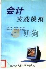 会计实践模拟（1999 PDF版）