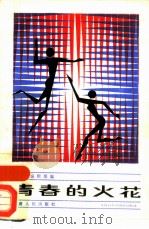 青春的火花（1985 PDF版）