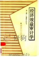 经济效益审计学（1991 PDF版）