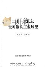 二十一世纪初世界钢铁工业展望（ PDF版）
