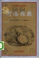 河洛理数（1994 PDF版）