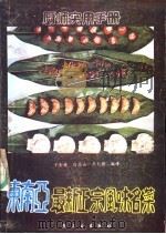 东南亚最新正宗风味名菜（1991 PDF版）