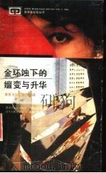 金环蚀下的嬗变与升华（1992 PDF版）