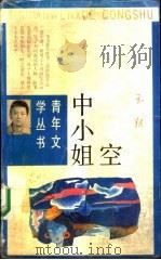 空中小姐（1988 PDF版）