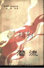 潜流（1982 PDF版）