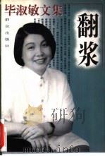 毕淑敏文集  翻浆（1996 PDF版）