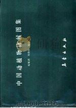中国动植物物候图集（1986 PDF版）