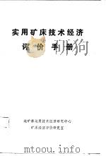 实用矿床技术经济评价手册（ PDF版）