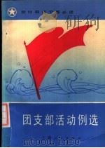 团支部活动例选（1984 PDF版）