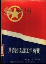 共青团支部工作概要（1989 PDF版）