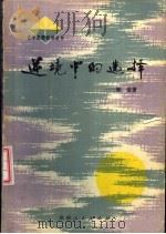 逆境中的选择（1981 PDF版）