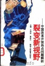 裂变新视野-中国改革开放热点问题解析（1992 PDF版）