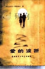 爱的波折（1981 PDF版）