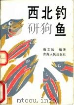 西北钓鱼（1993 PDF版）