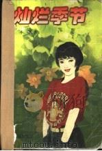 灿烂季节（1998 PDF版）