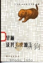 旱獭及其毛皮加工 1986 PDF电子版封面 15042·1953 王印华,李昌荣等编著