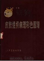 皮肤组织病理彩色图谱（1982 PDF版）