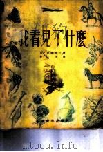我看见了什么（1952 PDF版）