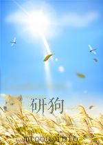 现行建筑材料规范大全  15  中华人民共和国国家标准  铸石直管耐水压应力强度试验方法  JC362-85（ PDF版）