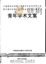 青年学术文集  中国煤炭学会第三届青年科技学术研讨会暨中国科协第二届青年学术年会卫星会议（1994 PDF版）