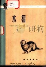 水貂（1980 PDF版）