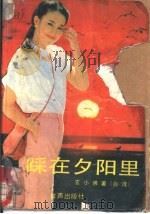 踩在夕阳里 1989 PDF电子版封面 7800621081 玄小佛著