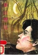 泰山情话 1988 PDF电子版封面 7533204522 赵和琪著