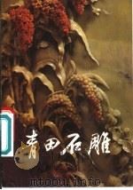 青田石雕 1980 PDF电子版封面 8103·505 夏法起编