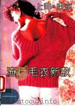 上海·东京流行毛衣新款 1990 PDF电子版封面 780513622X 李黎明编著
