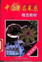 中国著名菜系精选教材 1998 PDF电子版封面 7810561502 吴杰主编