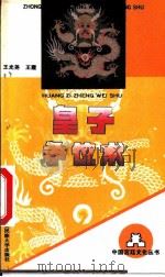 皇子争位术 1994 PDF电子版封面 7810013661 王光尧,王霞著