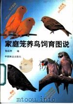 家庭笼养鸟饲育图说 1995 PDF电子版封面 750381344X 杨廷梓编