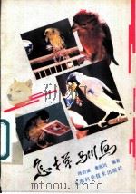怎样驯鸟 1993 PDF电子版封面 7532329488 周伯诚,董润民编著
