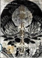 《高梁·玉米·大豆》 徐大为书集 1995 PDF电子版封面 7800990974 范迪安,李延年,侯钦孟主编