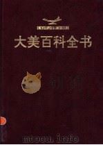大美百科全书  11（1994 PDF版）